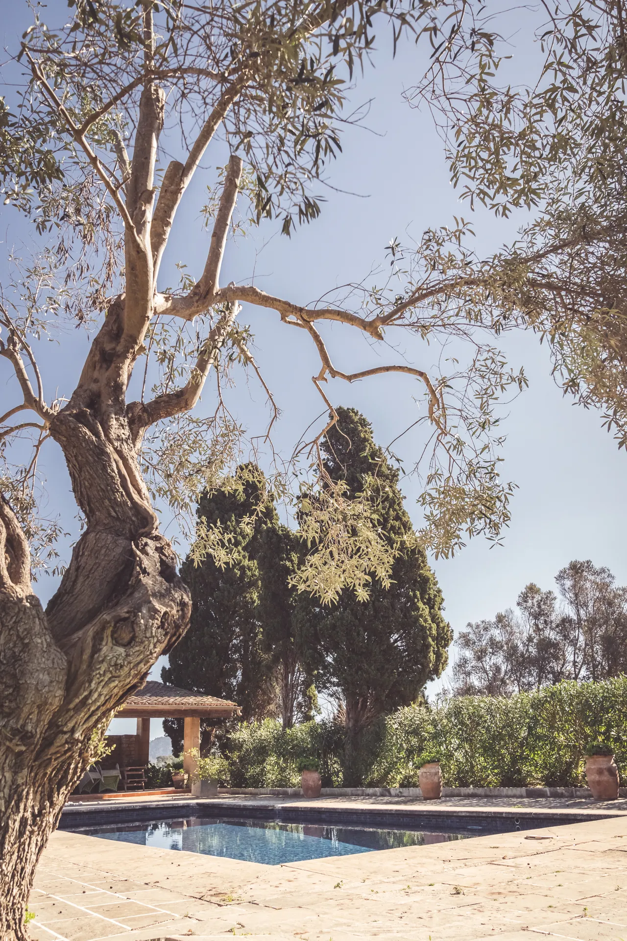 Yoga Retreat auf Mallorca im April 2025