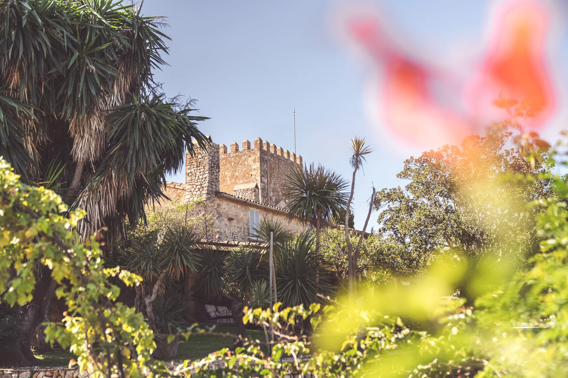 Yoga Retreat auf Mallorca im April 2025