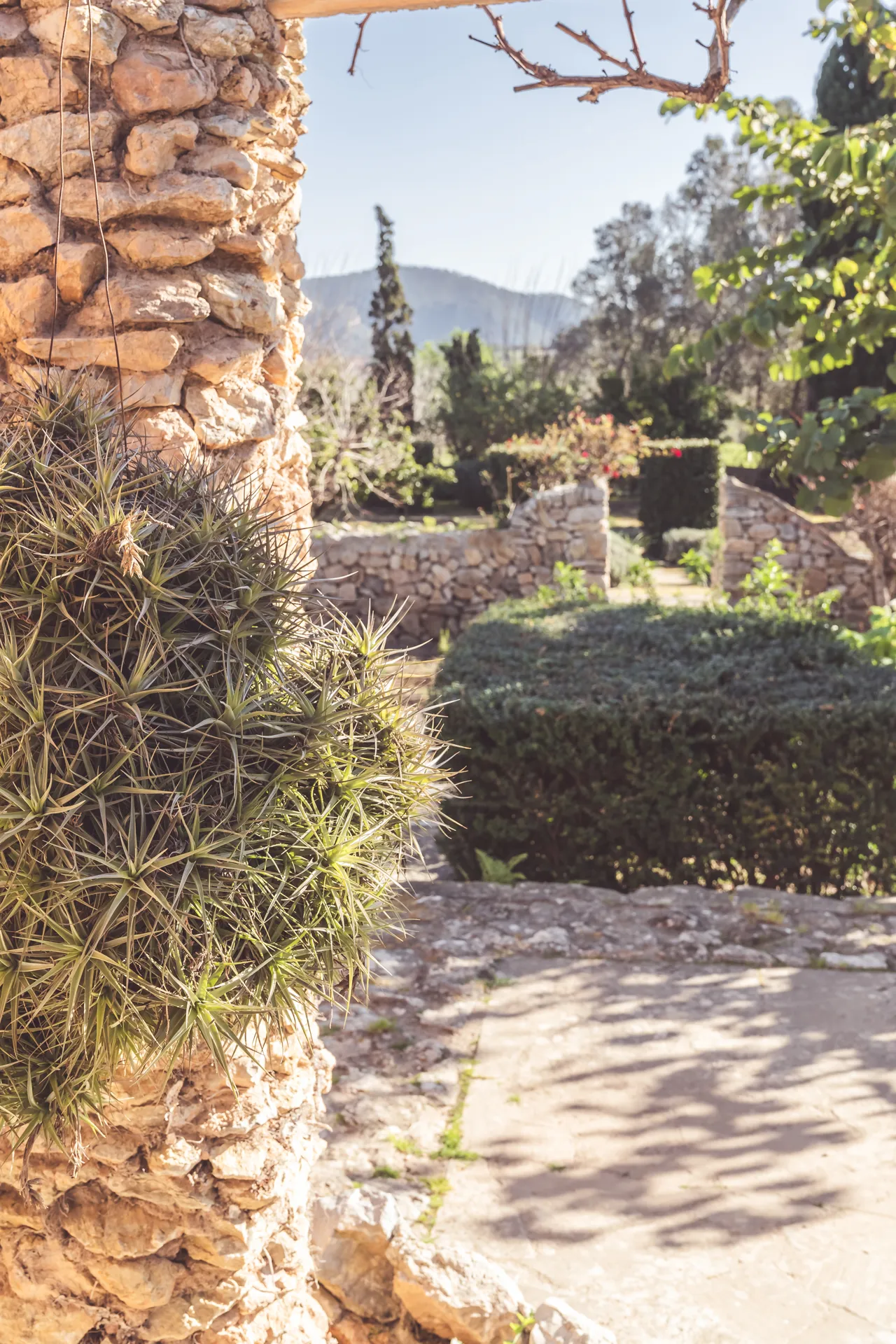 Yoga Retreat auf Mallorca im April 2025