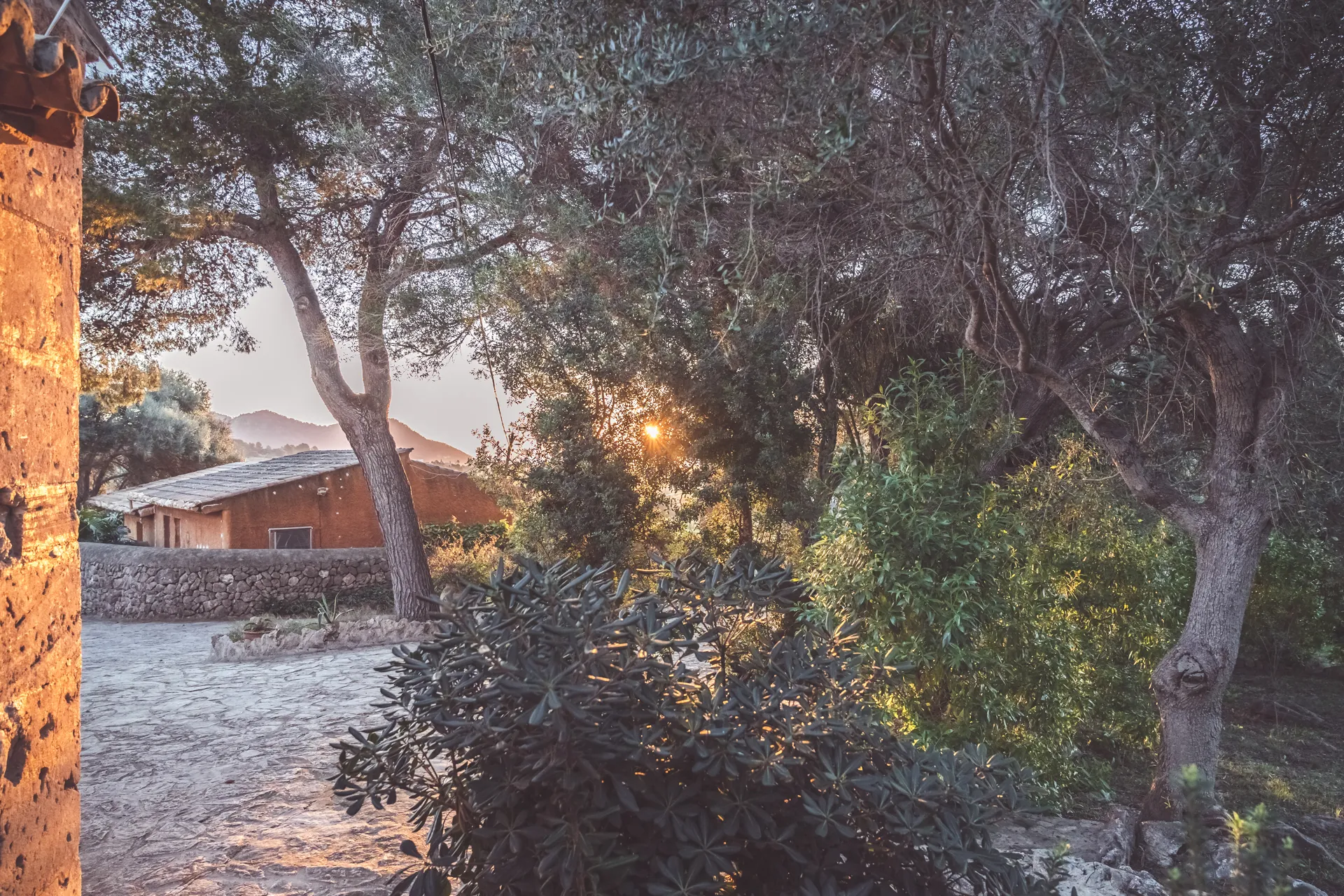 Yoga Retreat auf Mallorca im April 2025