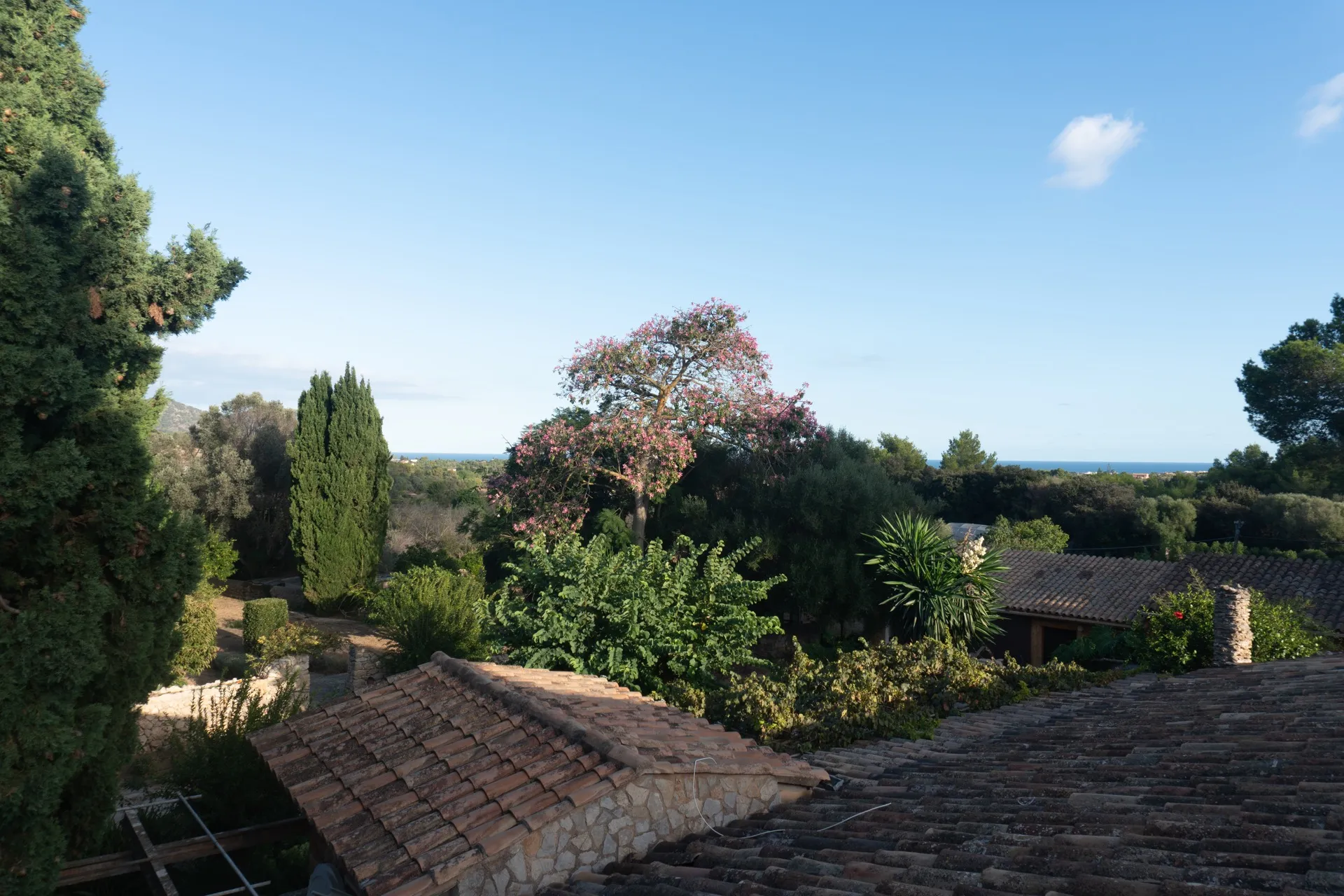 Yoga Retreat auf Mallorca im April 2025